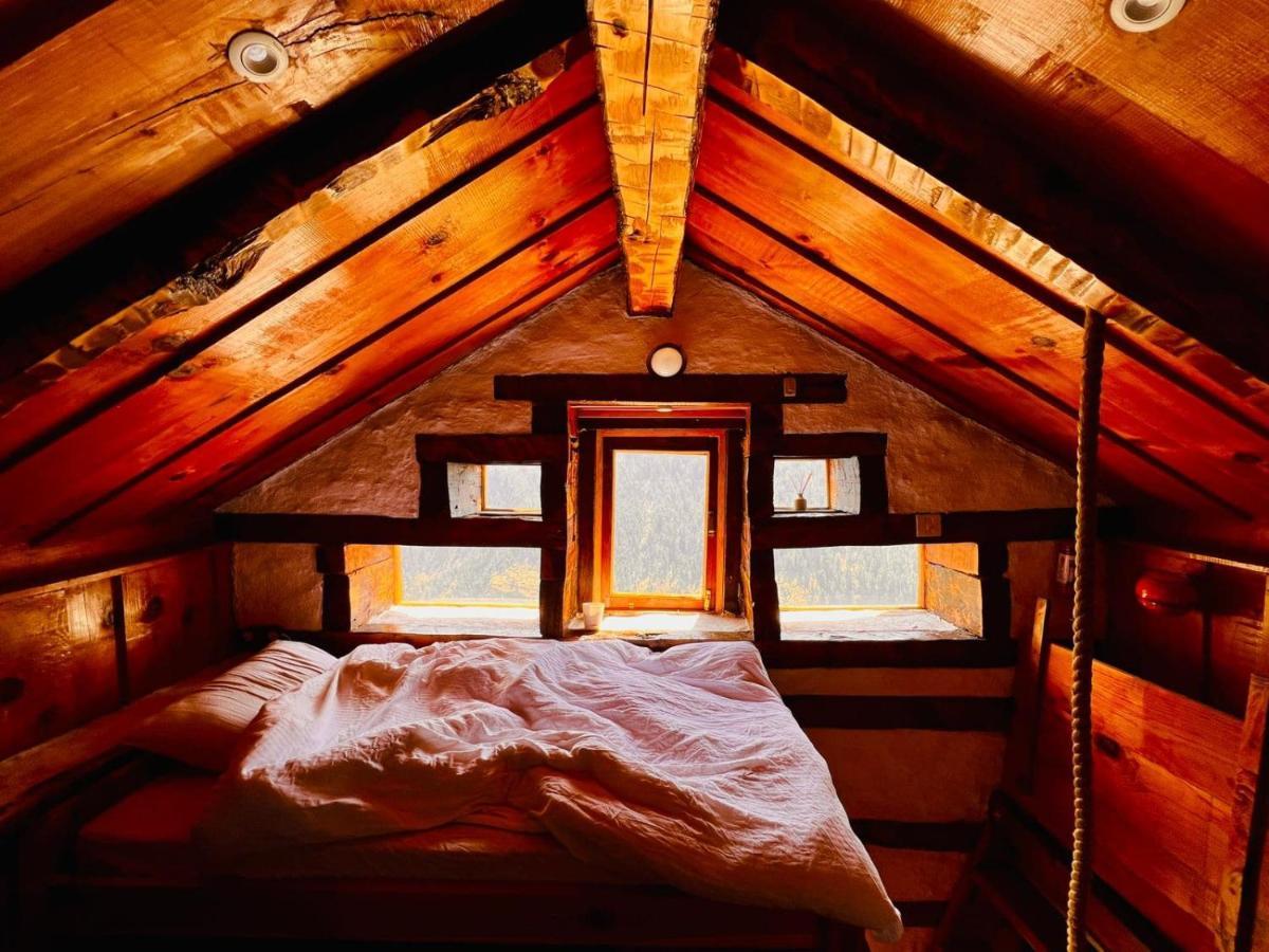 Parvatis Lap Luxury Hostel & Camps Kasol Exterior foto